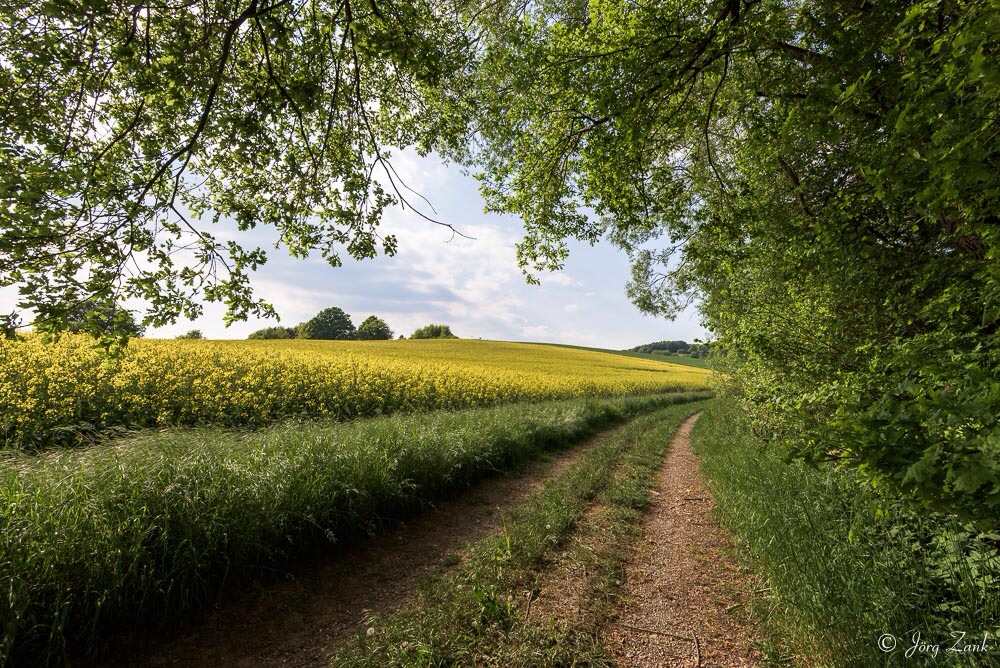 Ein Weg