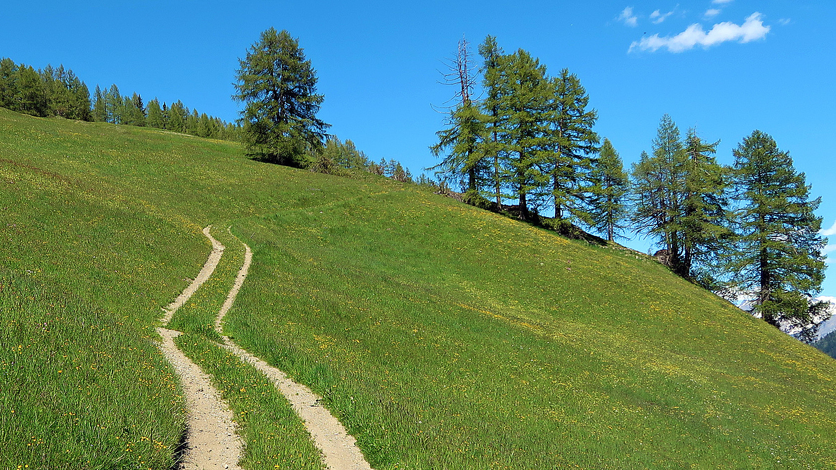 ein Weg