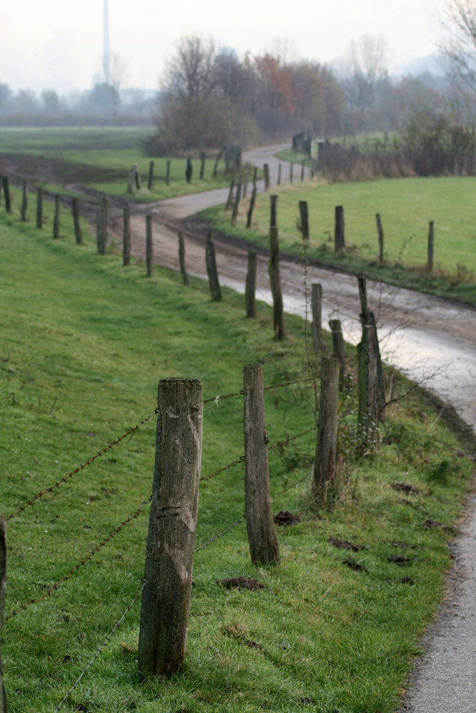 Ein Weg am Niederrhein