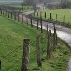 Ein Weg am Niederrhein