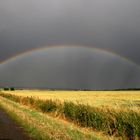 Ein Weg am Rande des Regenbogens