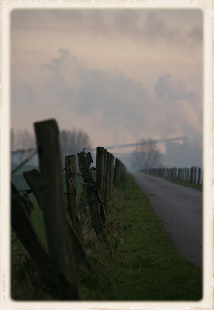 Ein Weg am Rhein