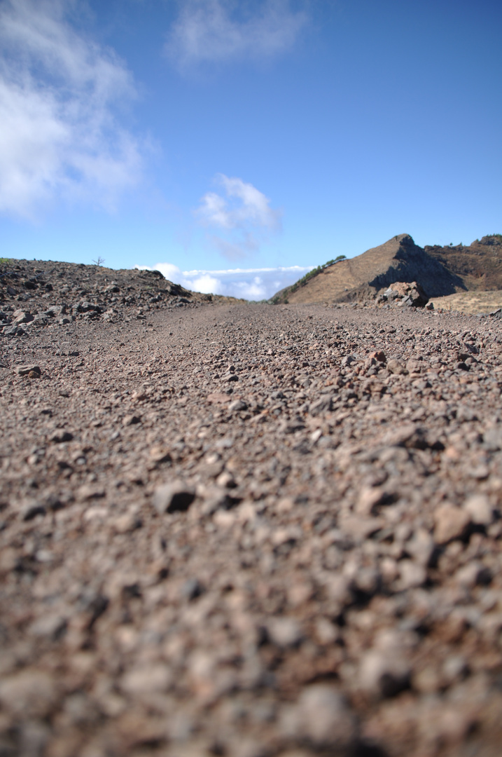 Ein Weg auf Gomera