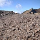 Ein Weg auf Gomera