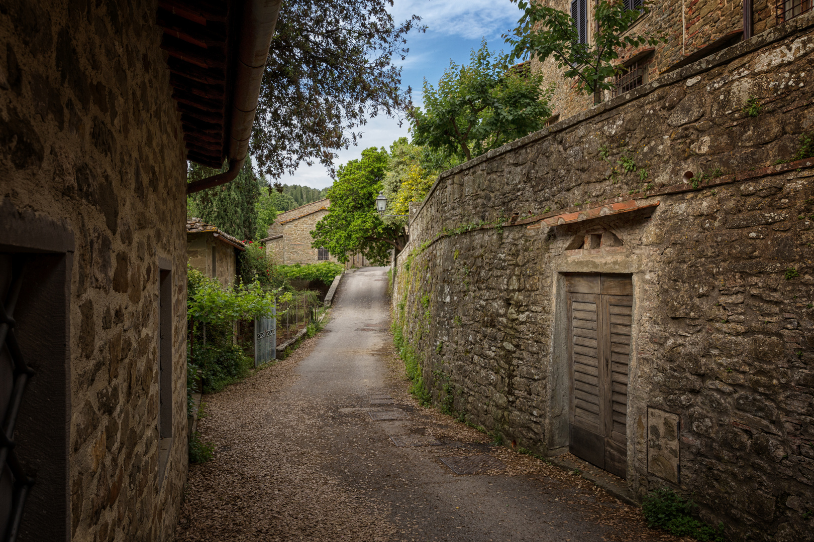 Ein Weg bei Volpaia