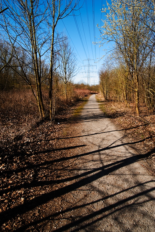 Ein Weg!