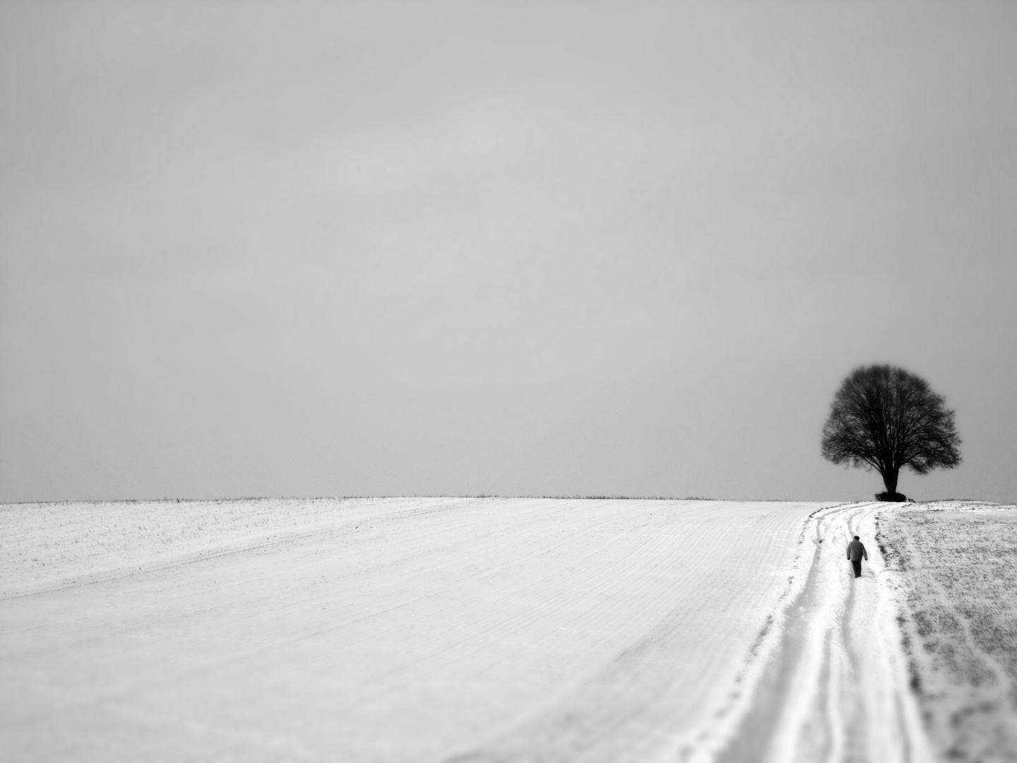 Ein Weg, der sich lohnt.