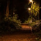 ein weg durch die Nacht