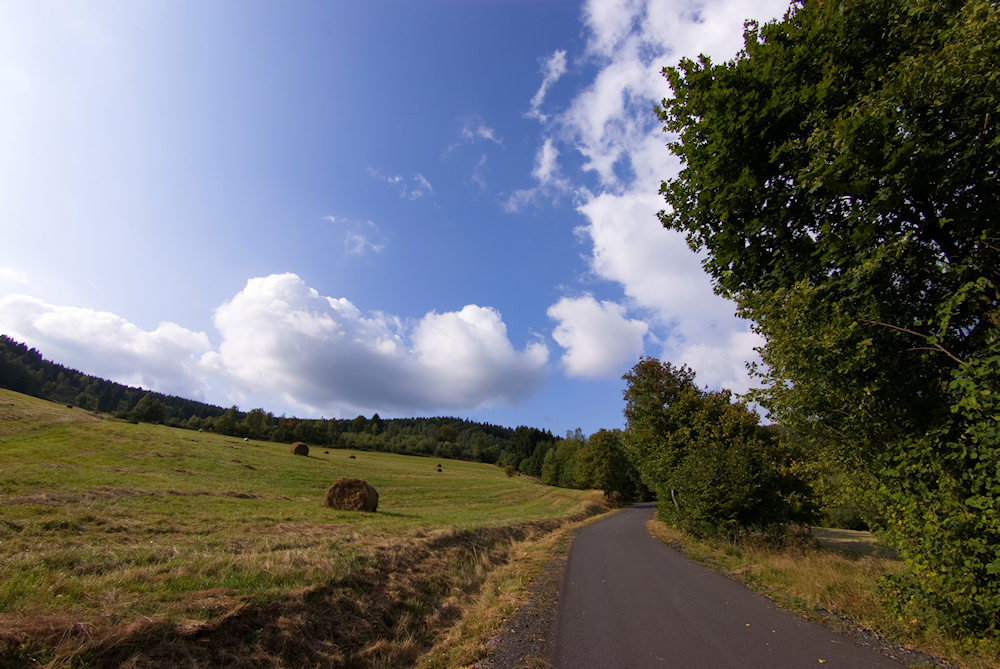 ein Weg, ein Feld und blauer Himmel