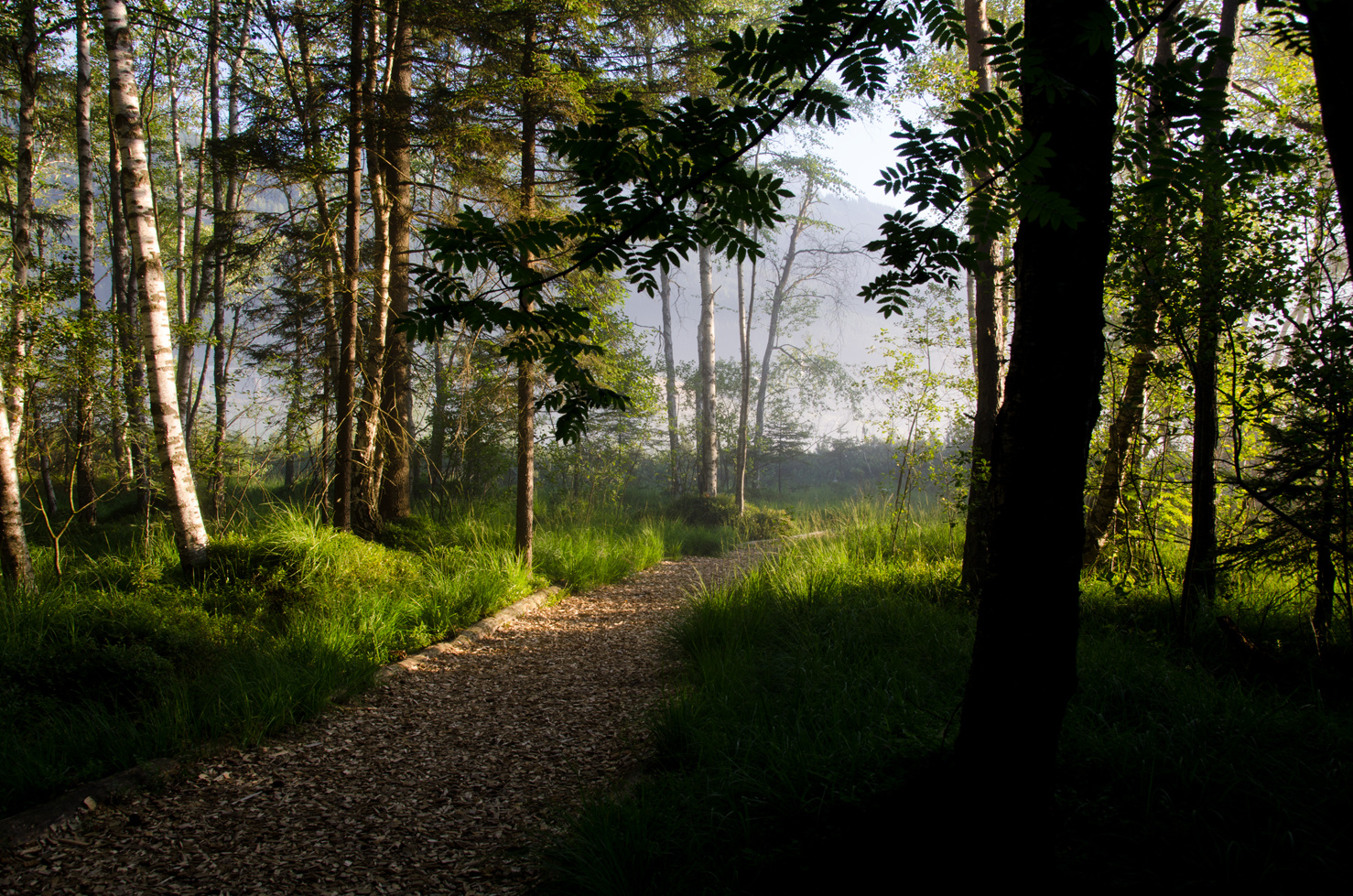 Ein Weg im Herbst