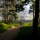 Ein Weg im Herbst