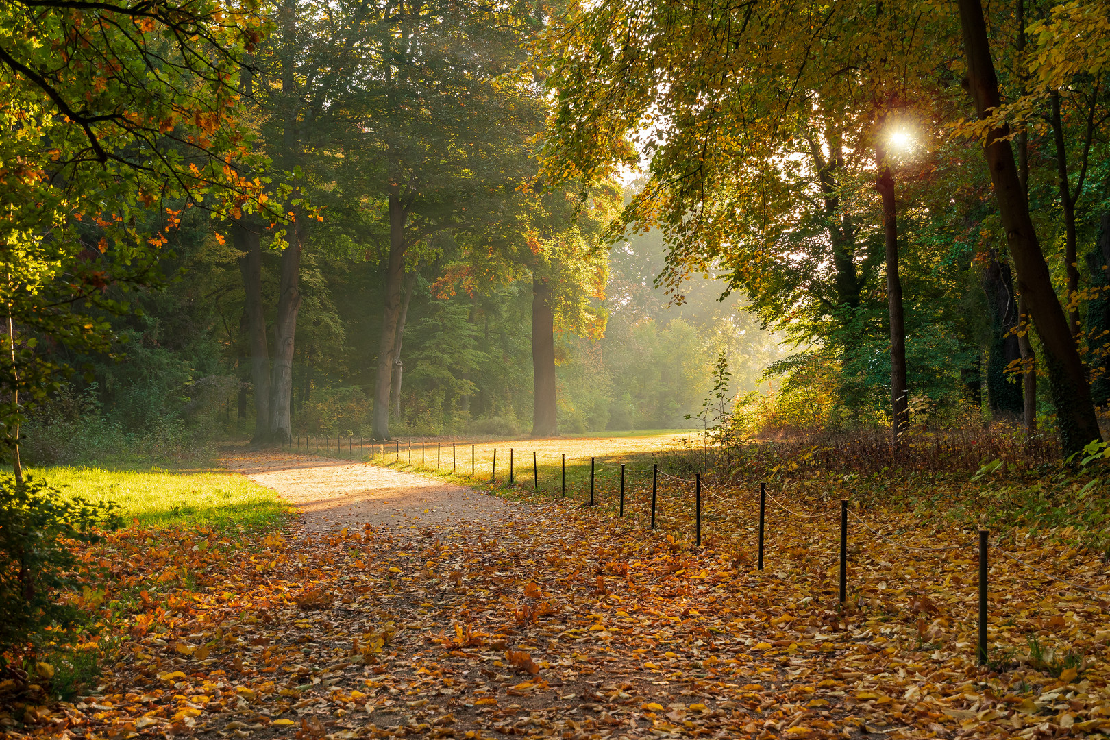 Ein Weg im Par Sanssouci