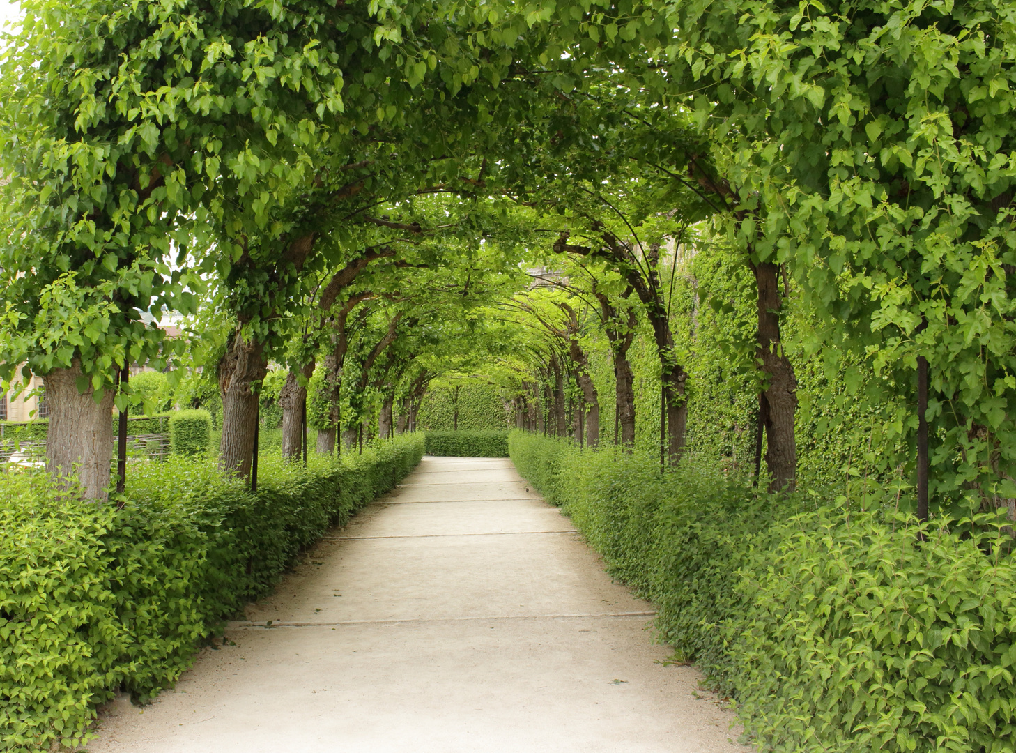 Ein Weg Im Sommer der Residenz