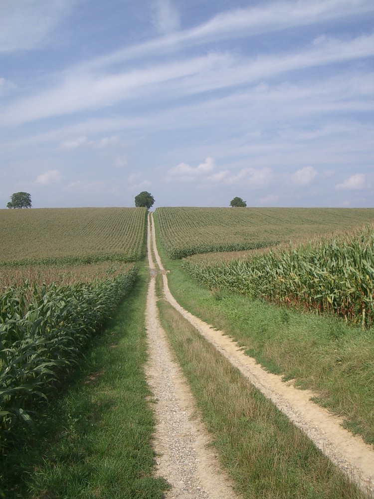 Ein Weg in den Himmel