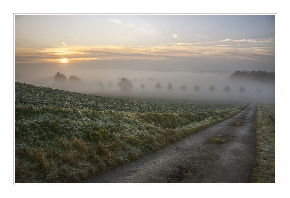 ein Weg in den Nebel