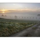 ein Weg in den Nebel