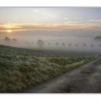 ein Weg in den Nebel