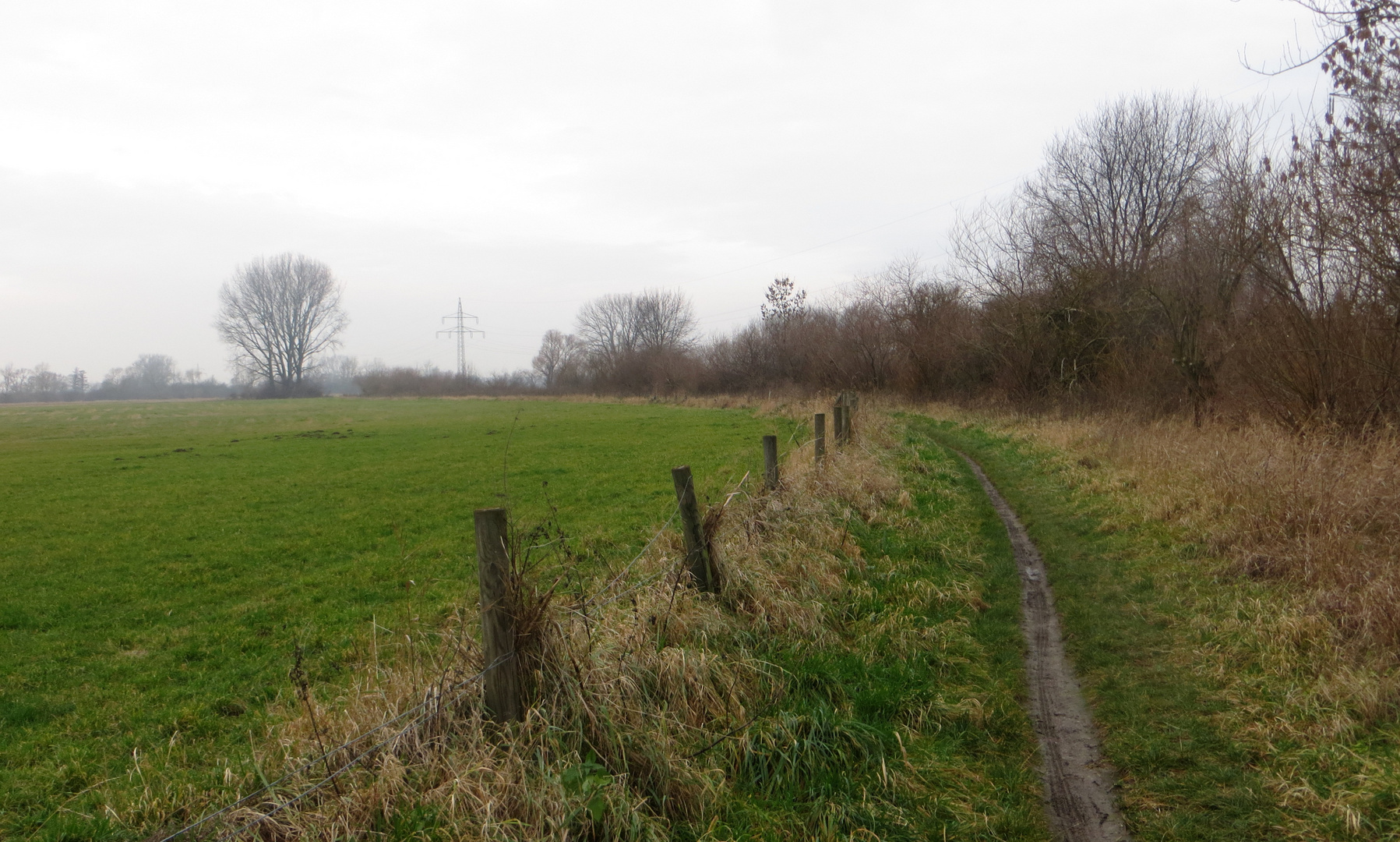 ein Weg in der Leinemasch