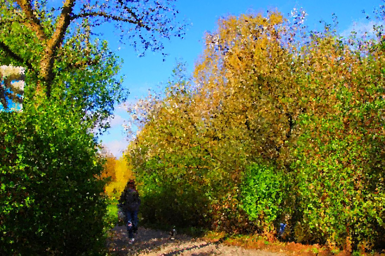 Ein Weg in der Nähe.