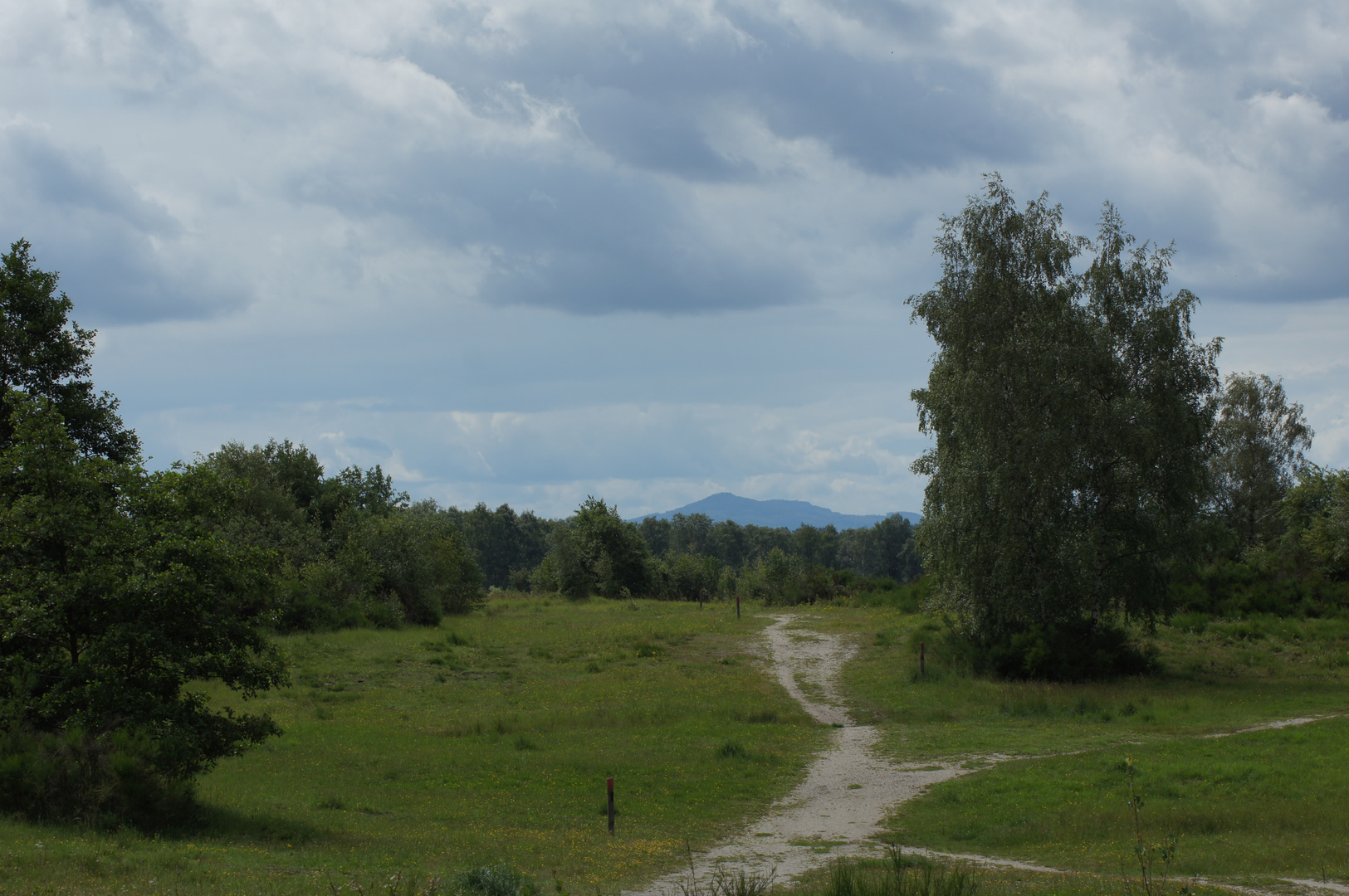 Ein Weg in der Wahner Heide mit Blick auf das Siebengebirge