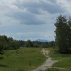 Ein Weg in der Wahner Heide mit Blick auf das Siebengebirge