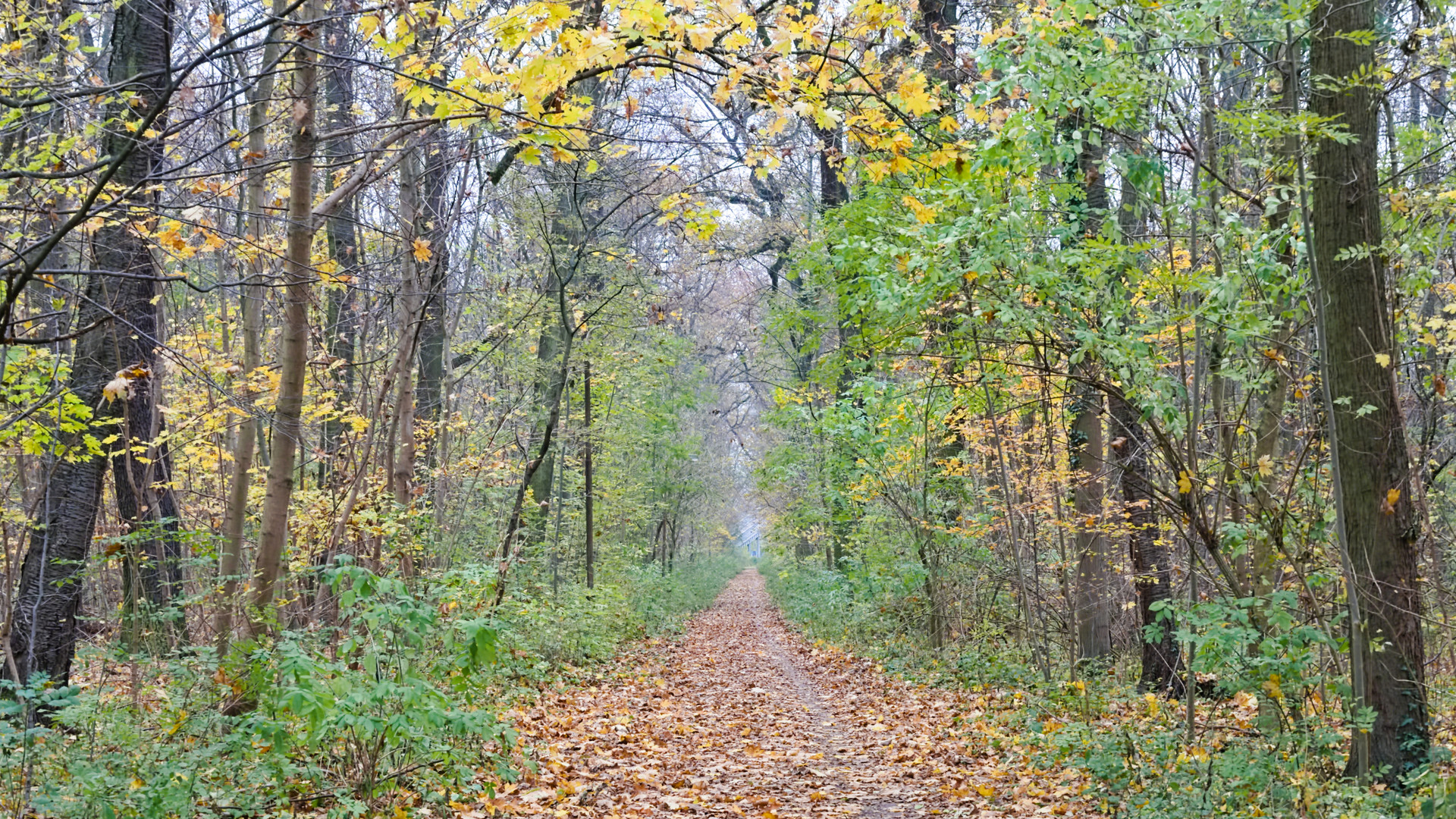 Ein Weg ins Nichts.