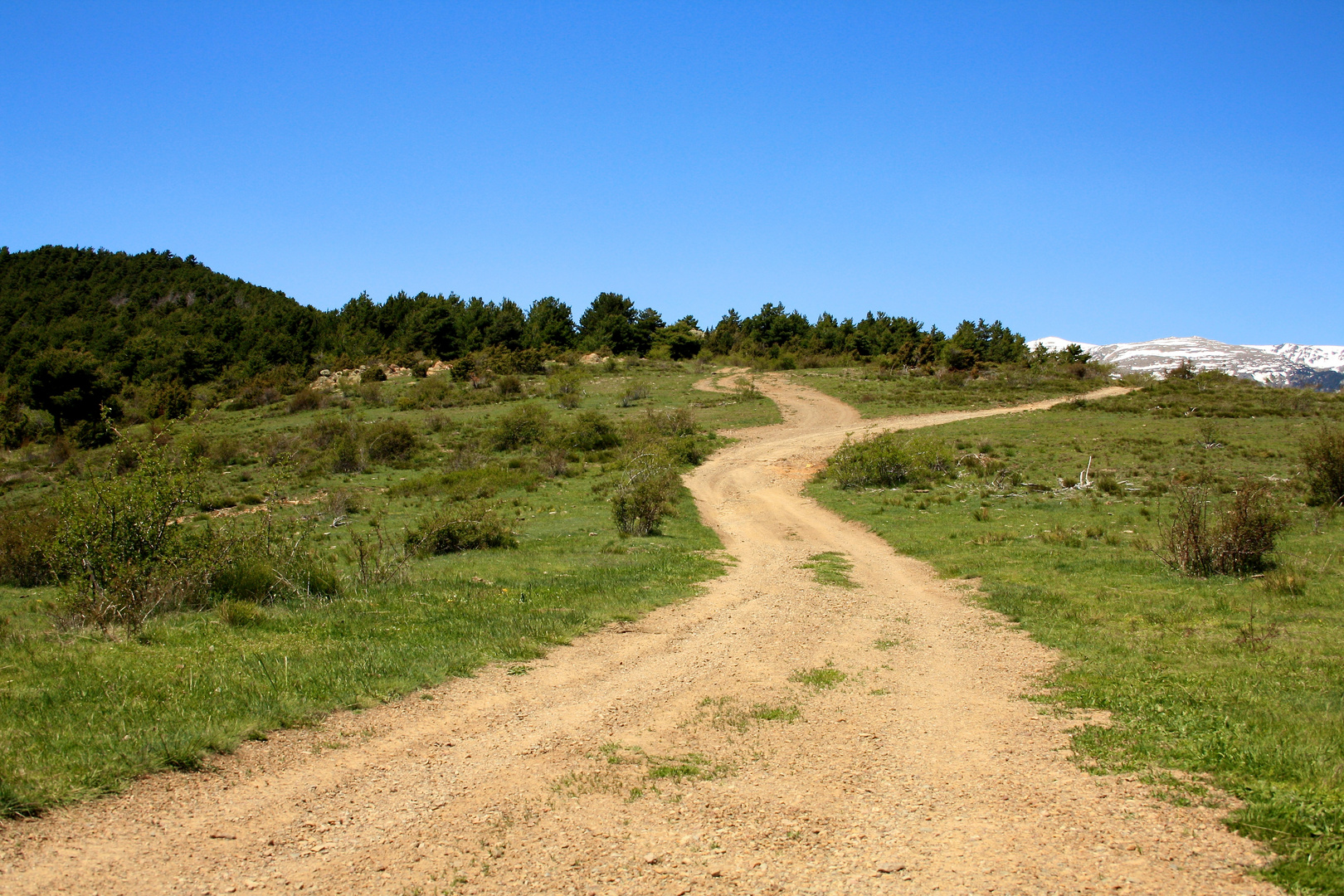 Ein Weg ins nirgendwo