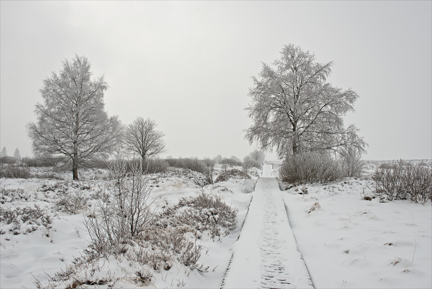 Ein Weg ins Nirgendwo