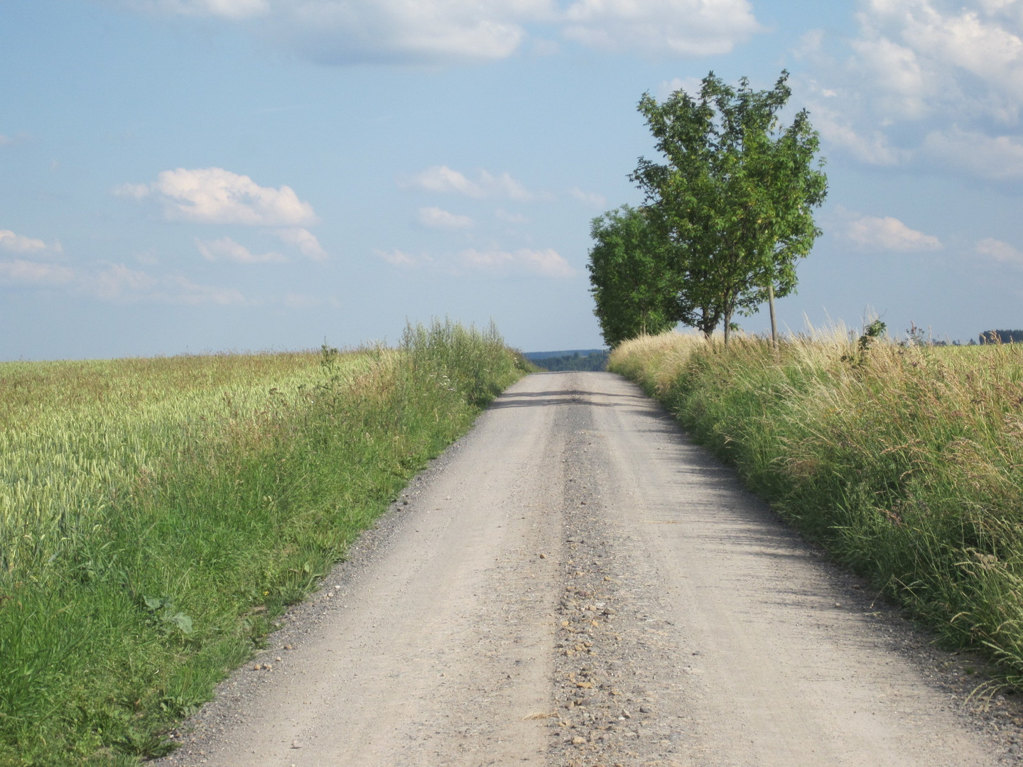 Ein Weg mit Ende ?