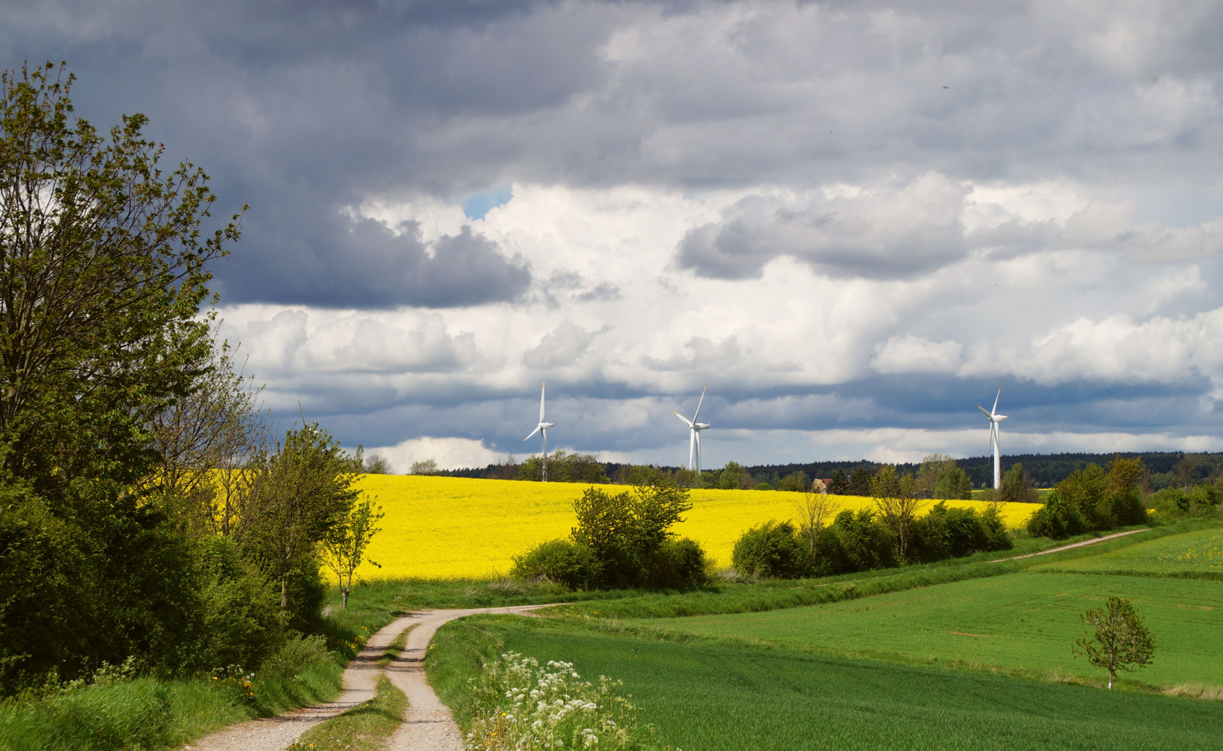 Ein Weg mit Schwung