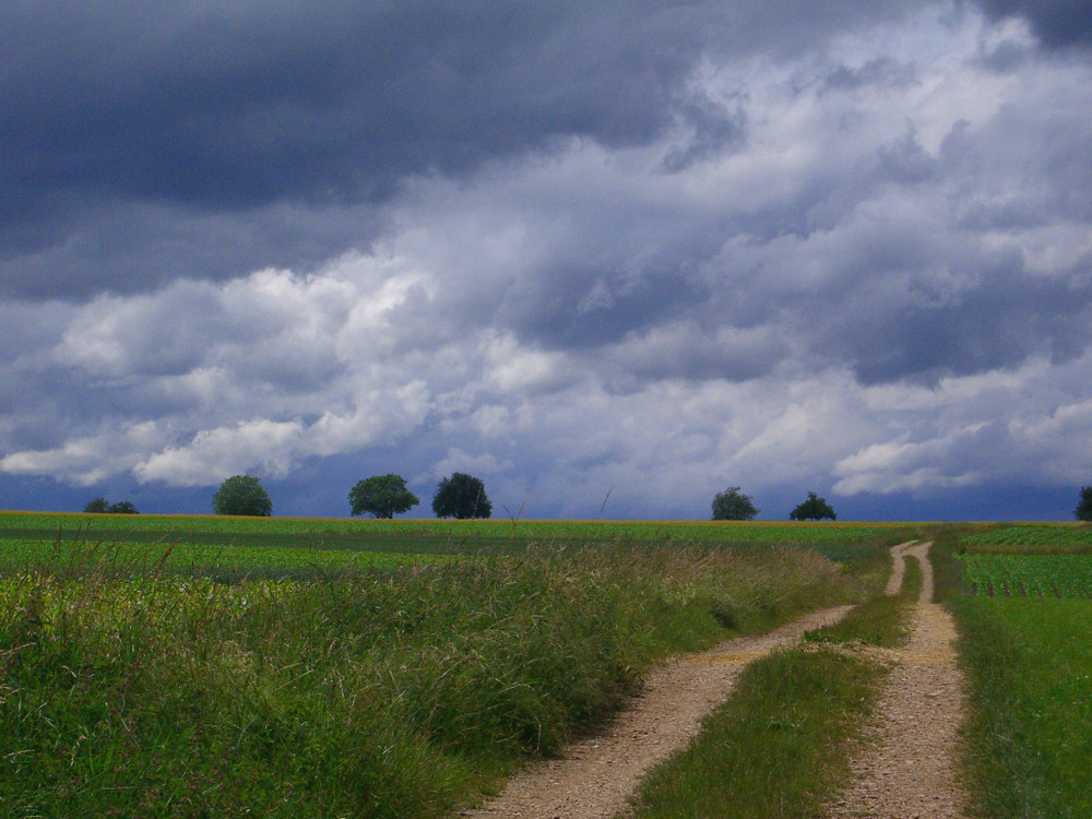 Ein Weg Richtung Himmel