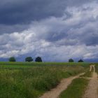 Ein Weg Richtung Himmel