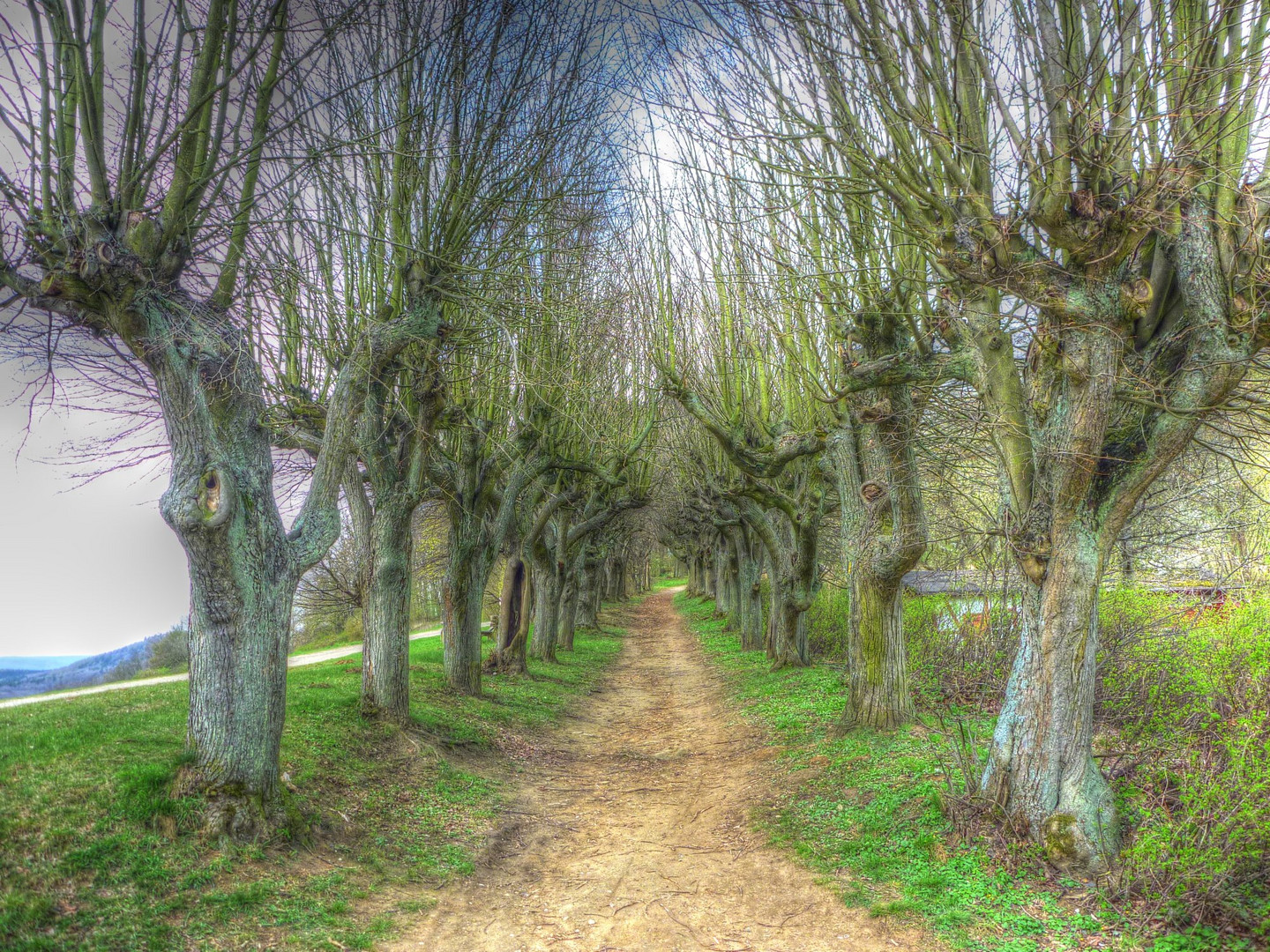 Ein Weg (tonemapped)