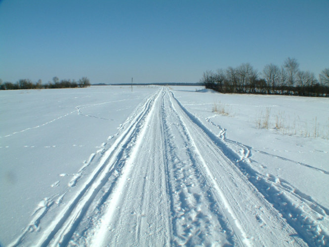 Ein Weg von vielen