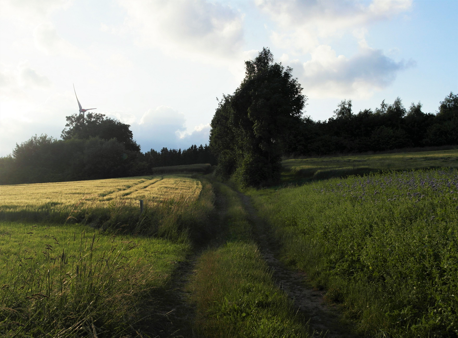 Ein Weg zum "Träumen"