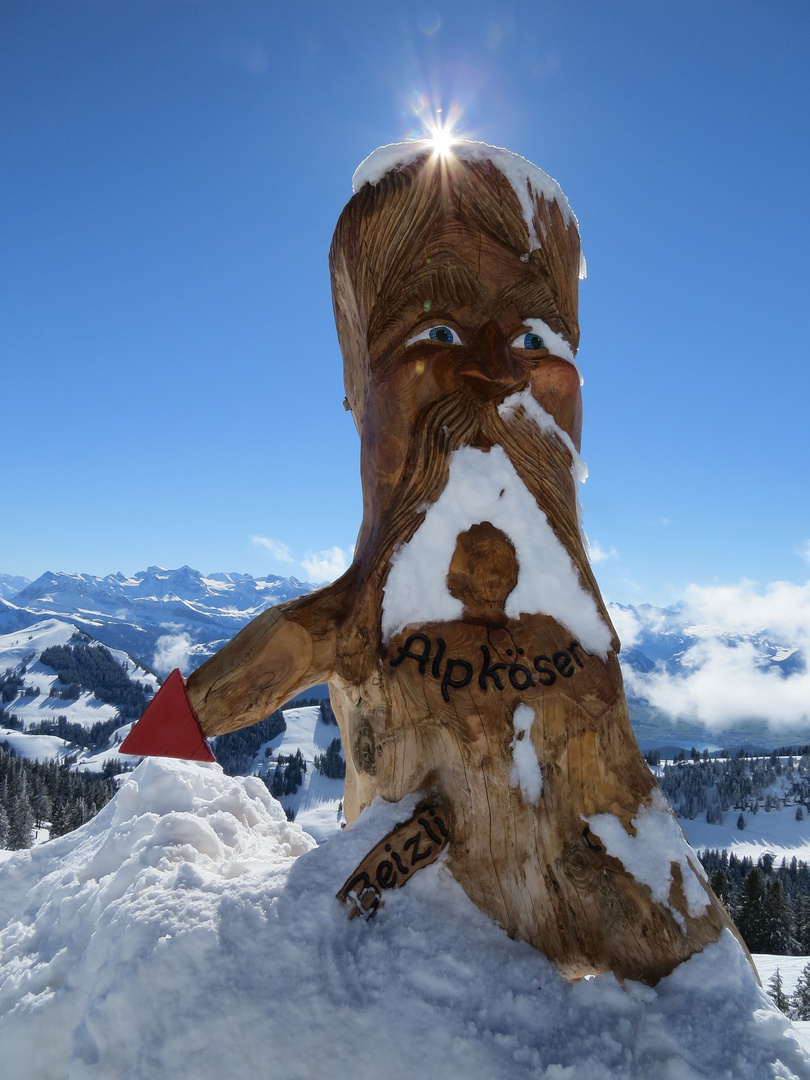 Ein Wegweiser der besonderen Art, entdeckt auf Rigi-Kulm