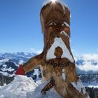 Ein Wegweiser der besonderen Art, entdeckt auf Rigi-Kulm