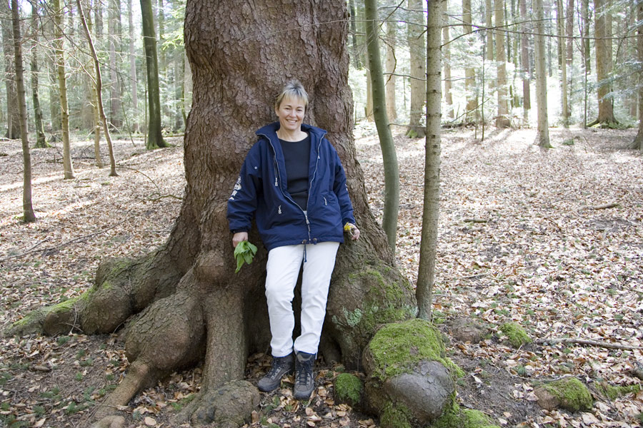 Ein Weiblein steht im Walde