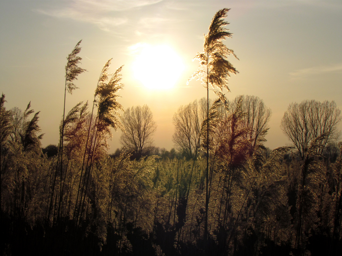 Ein ‚weicher’ Sonnenuntergang