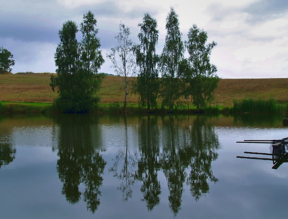 Ein Weiher