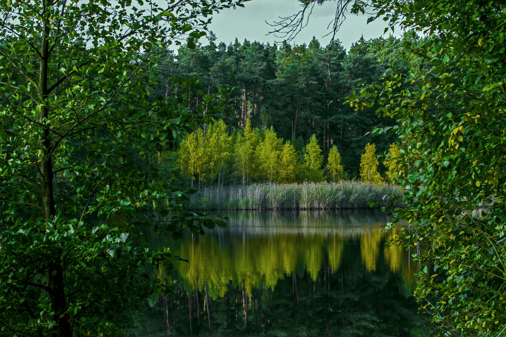 Ein Weiher bei Dechsendorf