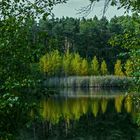 Ein Weiher bei Dechsendorf