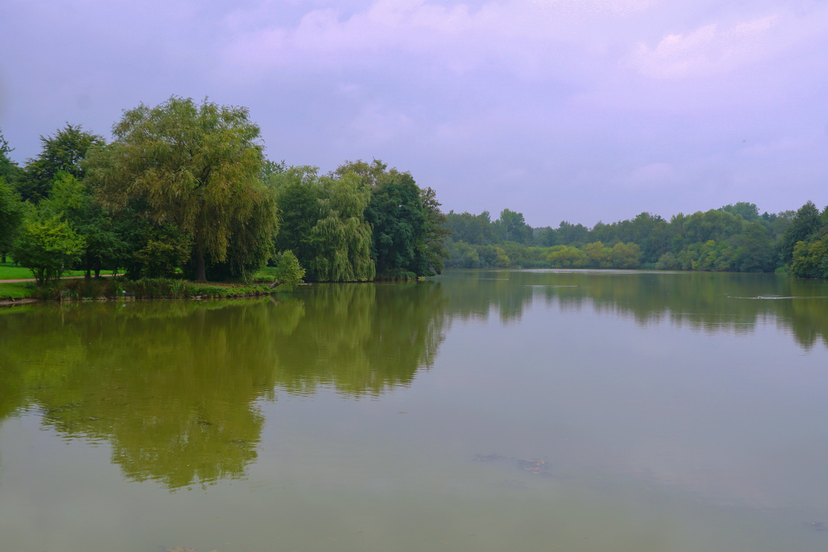 Ein Weiher bei Glinde