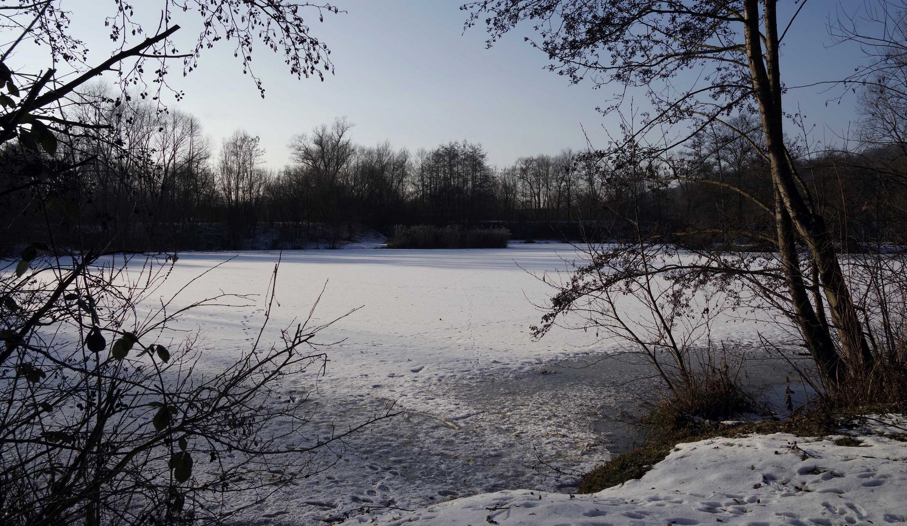 ein Weiher bei Wernau