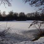 ein Weiher bei Wernau