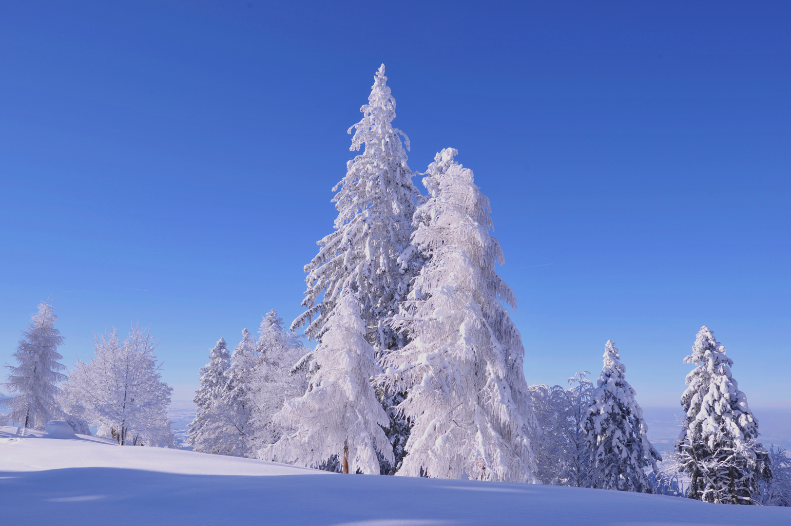 ein Weihnachts-Märchen in der Natur