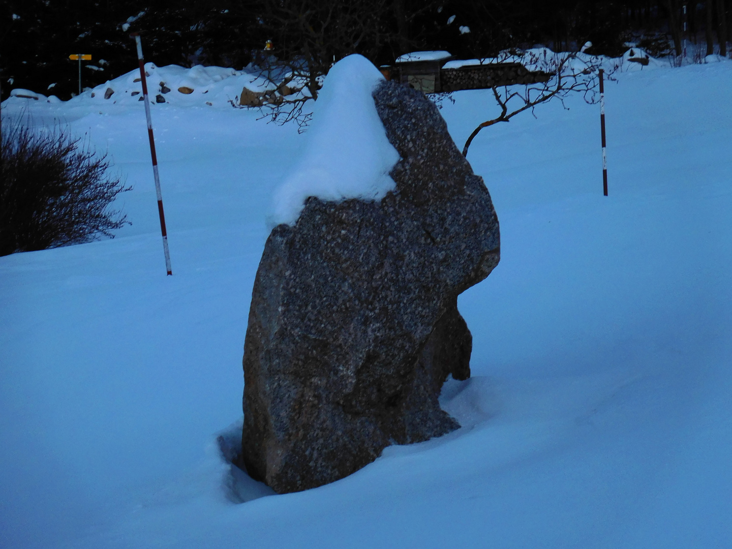 Ein Weihnachts-Osterhase gestylt von der Natur :-)