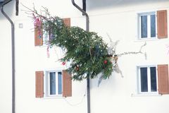 ein Weihnachtsbaum !!!