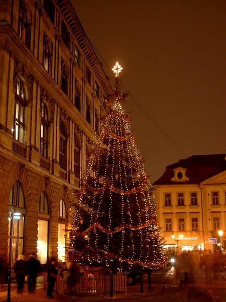 Ein Weihnachtsbaum, in Prag - Prag-Bilder