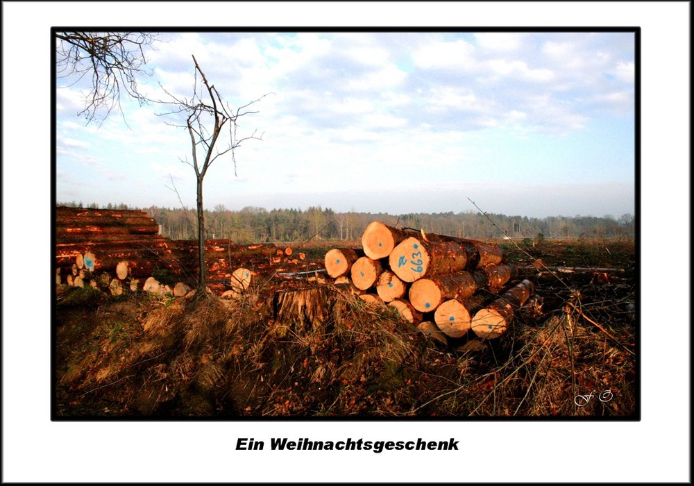 Ein Weihnachtsgeschenk